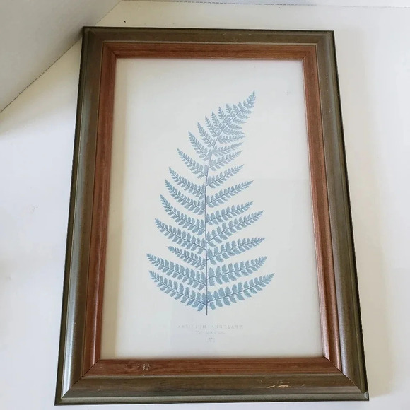 Framed Prints Of Wild Oats & Botanical Fern In  Green Frames Avena Fatua LIX. - Picture 3 of 6